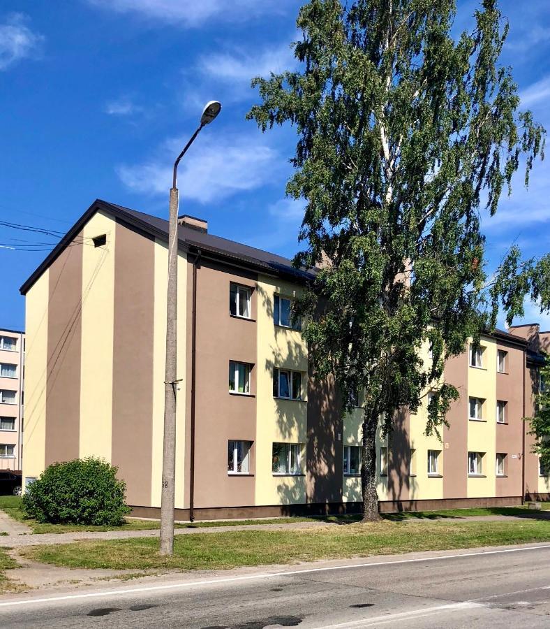 Majigs Dzivoklis Salacgrīva Екстериор снимка